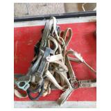 7 good used nylon halters