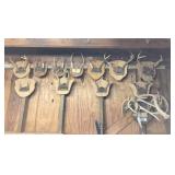 clock & deer horns on west wall of shop