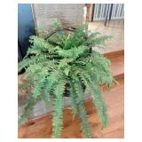 Large basket w/artificial fern