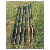 6) 6 ft straight T-posts