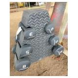 6 dumbells: 3, 5, & 8 lbs 6 dumbells: 3, 5, & 8 lbs