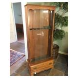6 unit gun cabinet  28 x 13 x 65H