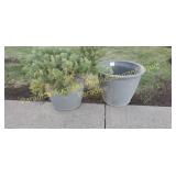 PLANT and Planter extra empty