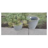 PLANT and Planter extra empty