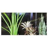 Plants faux SET