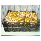 Tee Post Insulators in Crate