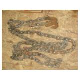 Approx 18-19 Foot Heavy Duty Chain