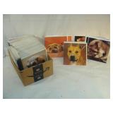 Box of Dog Photos