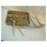 Special Type of Horns - Heavy Duty