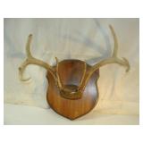 Antler Mount