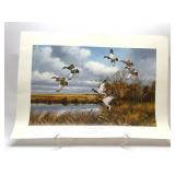 'GREENHEAD COUNTRY'' print BY Maas