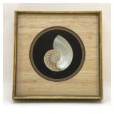 SHADOWBOX NAUTILUS SEASHELL FRAMED