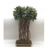 TOPIARY SILK PLANT 24''