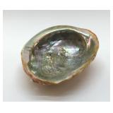 ABALONE SEASHELL BOWL 8'
