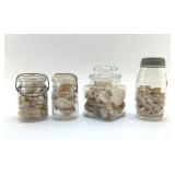 SEASHELL COLLECTION IN JARS