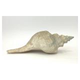 LARGE NATURAL HORSE CONCH SEASHELL
