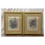 PAIR VTG F MASSA BIRDS ART PRINTS FRAMED