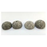 FOSSIL SAND DOLLAR SEA BISCUITS