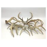 13 PIECE DEER ANTLER COLLECTION