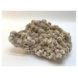 NATURAL DESERT ROSE SELENITE CLUSTER CRYSTAL