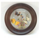 PRESERVED SPECIMAN BUTTERFLIES FRAMED