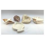 SEASHELL BOWLS