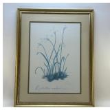 FRAMED BOTANICAL 1974