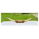 5ft Wide Bull Horns
