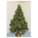 High Quality Christmas Tree, Just under 6ft h