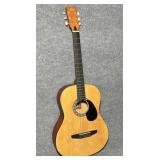 Rogue RAG-NA Acoustic Guitar