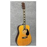 Fannin Acoustic Guitar, #14057 UN79 D67