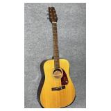 Fender Acoustic Guitar, F-210