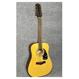 Fender Acoustic Guitar, #DG10/12 NS, 12 String,
