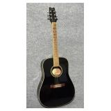Washburn Acoustic Guitar, #D10SB