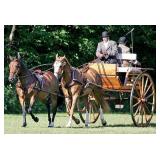 Natural Wood Tandem Cart