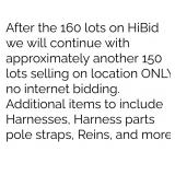 Lots after HiBid