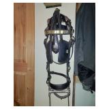 Period Driving Bridle Monograms for Mr Fahnestocks