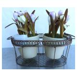 11"x12" Planter Tulip