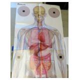 Fifteen (15) Targets