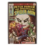 Peter Parker The Spectacular Spider-Man #19