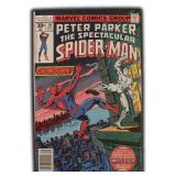 Peter Parker The Spectacular Spider-Man #10