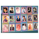 Eighteen (18) 1991 Hollywood Starline Cards incl.