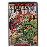 Peter Parker The Spectacular Spider-Man #21