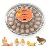 30 Egg Incubator, In Box