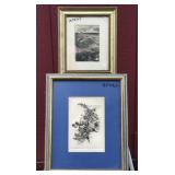 Octopi etching and Sanibel etching lot