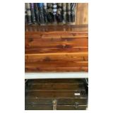 Cedar trunk