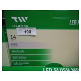 LED Light