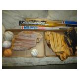 Batts or glove Choice