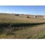 Tract 1 76 acres m/l