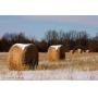 Monona County Hay Sale Jan. 2018